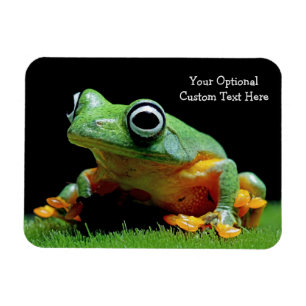 Custom Text Frog Magnet