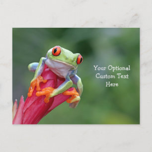 Custom Text Frog Postcard
