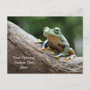 Custom Text Frog Postcard
