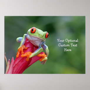 Custom Text Frog Poster