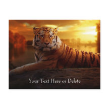 Custom Text Gorgeous Orange Wild Tiger Gold Sunset