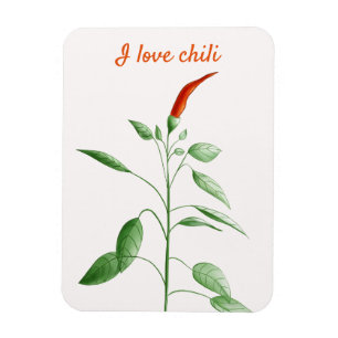 Custom Text Hot Pepper Plant Botanical Love Chilli Magnet