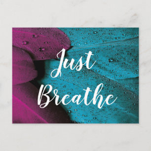 Custom Text Just Breathe Dark Pink & Blue Feathers Postcard