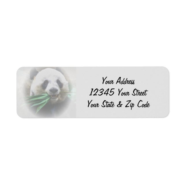 Custom  Text Panda (Front)