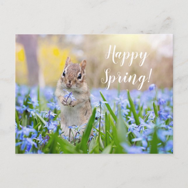 Custom Text Squirrel in Wildflowers Happy Spring Postcard (Front)