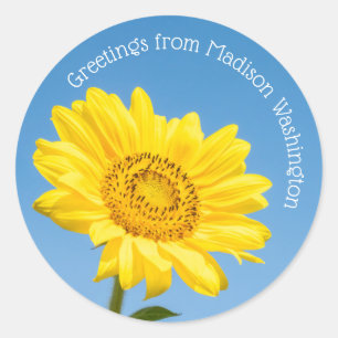 Custom text Sunflower Classic Round Sticker
