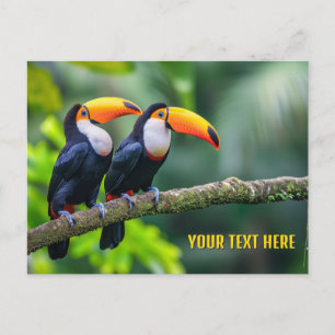 Custom Text Tropical Toucans Postcard