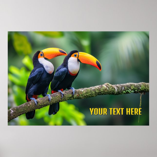 Custom Text Tropical Toucans Poster (Front)
