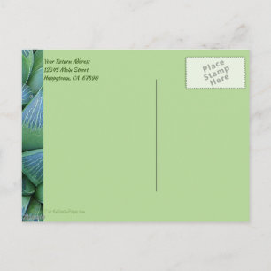 Custom Thank You Green Succulent Plant Postcard