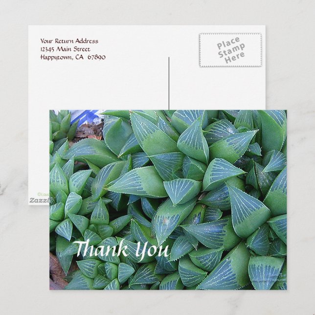 Custom Thank You Haworthia Plants Postcard (Front/Back)