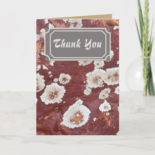 Custom Thank You Nature Red Rock Lichen Card