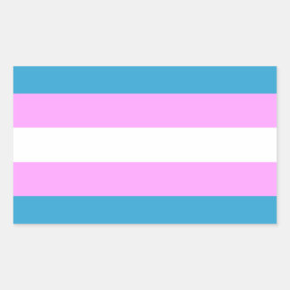 Custom Trans Flag Rectangular Sticker