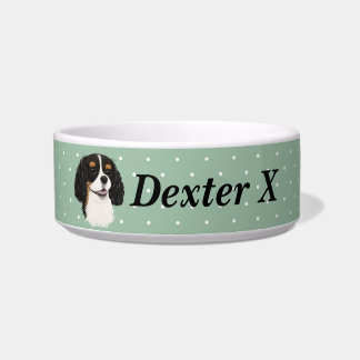 Custom Tri Cavalier King Charles Spaniel     Bowl