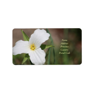 Custom Trillium Label