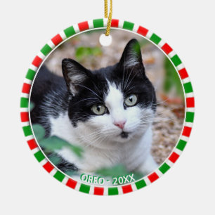 Custom tuxedo cat photo and green red frame ceramic tree decoration
