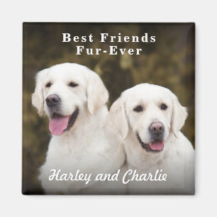 Custom Two Pet Dog Photo Best Friends Fur-Ever Magnet