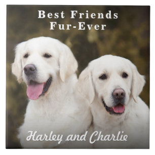 Custom Two Pet Dog Photo Best Friends Fur-Ever Tile