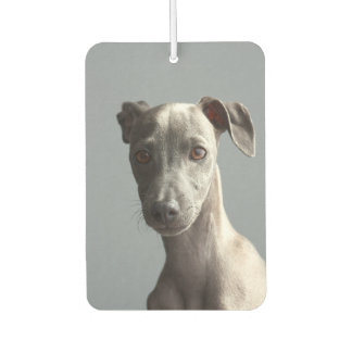 Custom Two-sided Pet Dog Photo Personalised Car Air Freshener
