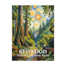 Custom Van Gogh Redwood National Park Hiking Trail