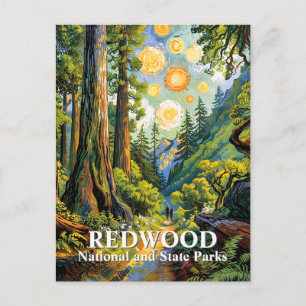 Custom Van Gogh Redwood National Park Hiking Trail Postcard