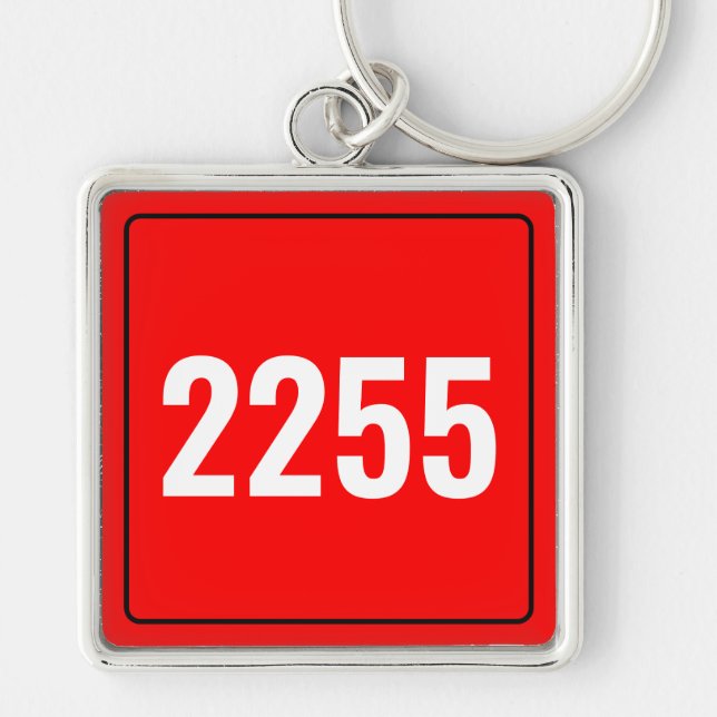 Custom Vehicle Number Plate Keychain (Front)