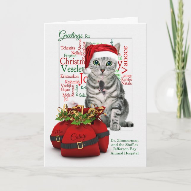 Custom Veterinarian Christmas Tabby Cat Holiday Card (Front)