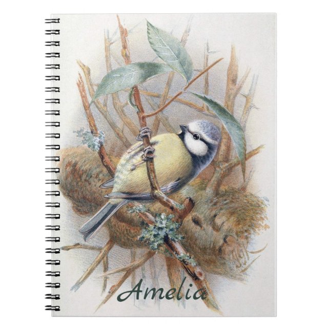 Custom Vintage Eurasian Blue Bird Note Book (Front)