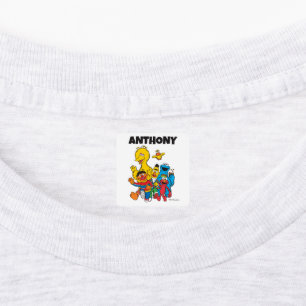 Custom Vintage Sesame Street Pals Clothing