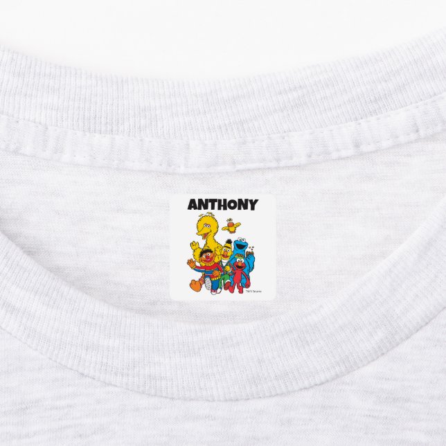 Custom Vintage Sesame Street Pals Clothing (Affixed)