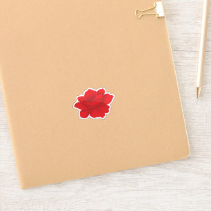 Custom Vinyl Decals. Boats. Cars. Trucks. Gear.