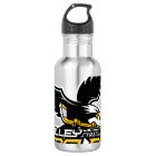 Custom Water Bottle (24 oz), Stainless Steel