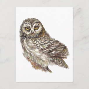 Custom Watercolor Owl, Bird, Nature, Wildlife Postcard
