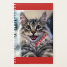 Custom Weekly & Monthly