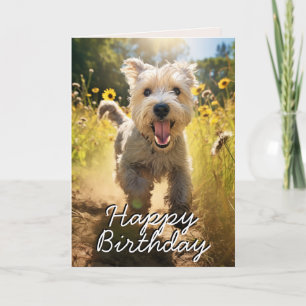 Custom Wheaten Terrier Birthday Card