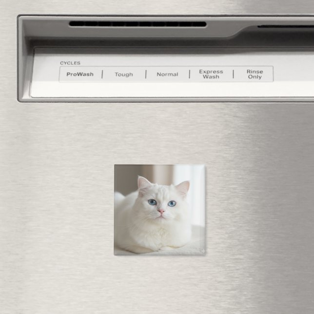 Custom white cat photo magnet for fridge (In Situ (Dishwasher))