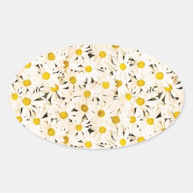 Custom White Daisies Blank Elegant Nature Template Oval Sticker (Front)