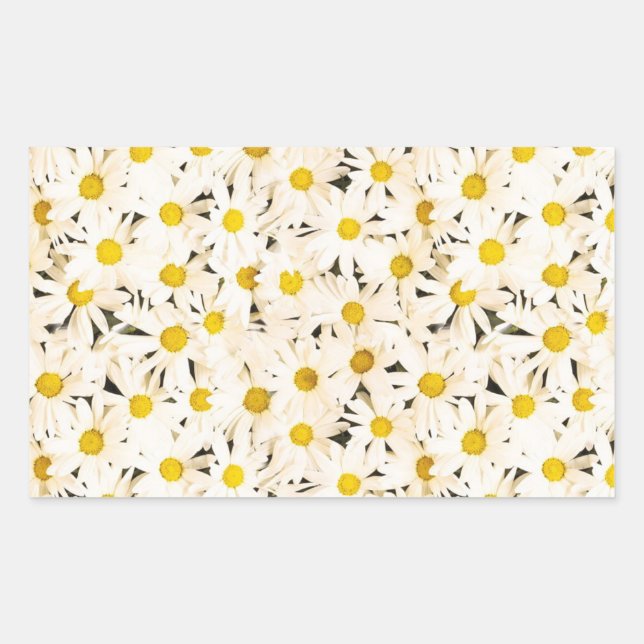 Custom White Daisies Blank Elegant Template Rectangular Sticker (Front)