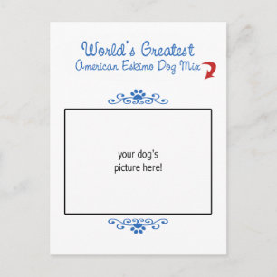 Custom Worlds Greatest American Eskimo Dog Mix Postcard