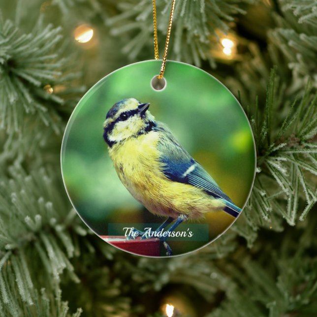 Custom Yellow=breasted Bird Photo Personalised Ceramic Tree Decoration (Tree)