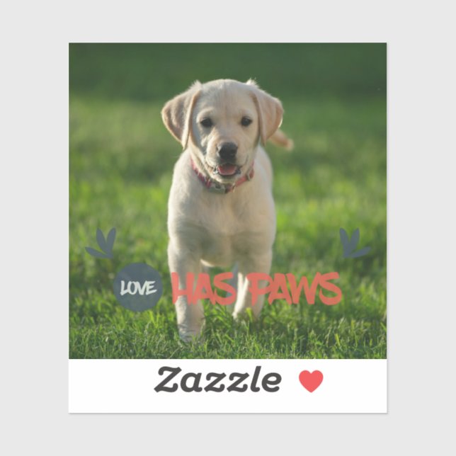 Custom your pet photo (Sheet)