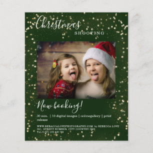 Customer specific Christmas Lights photo flyer