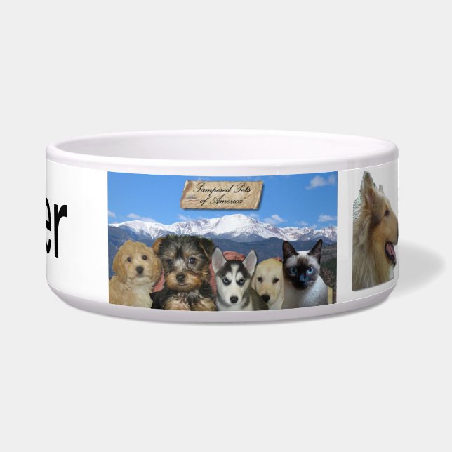 Customisable (Front)