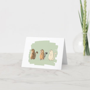 Customisable A Cat is A Cat is A Cat Meme Holiday Card