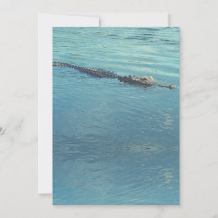 Customisable Alligator in Water Wildlife Photo  Holiday Card