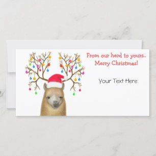 Customisable Alpaca Xmas Photo Card