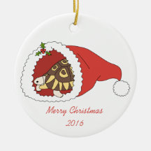 Customisable Angulate Tortoise Ornament