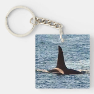 Customisable Aquarius Orca West Coast Community  Key Ring