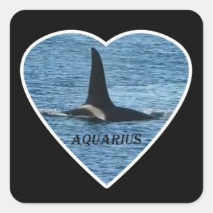 Customisable Aquarius Orca West Coast Community  Square Sticker