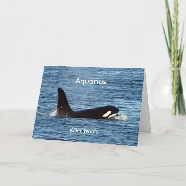 Customisable Aquarius West Coast Orca Killer Whale Card (Front)