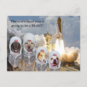 Customisable Astronaut Dogs Teacher Postcard
